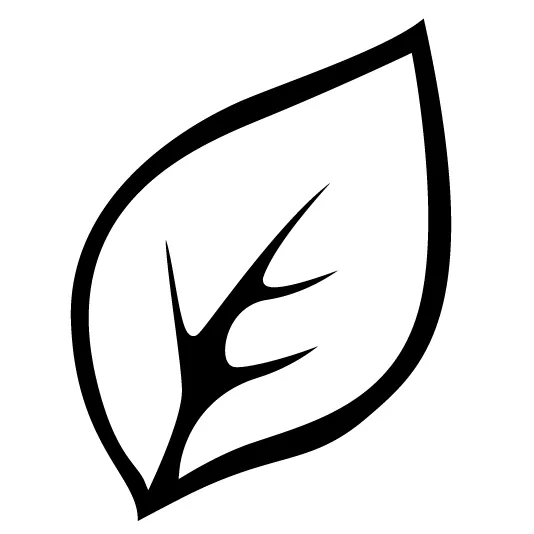 茶饮